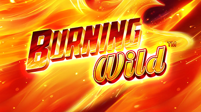 Интересный игровой слот на Вулкан Россия ➥ Burning Wild